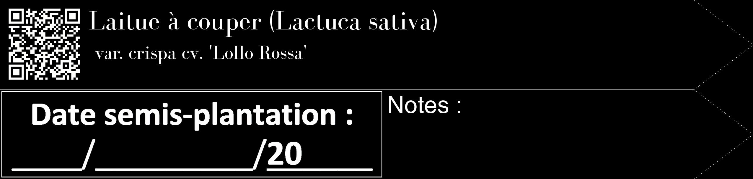 Étiquette de : Lactuca sativa var. crispa cv. 'Lollo Rossa' - format c - style blanche59_simple_simplebod avec qrcode et comestibilité
