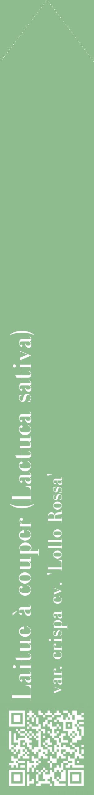 Étiquette de : Lactuca sativa var. crispa cv. 'Lollo Rossa' - format c - style blanche13_simplebod avec qrcode et comestibilité