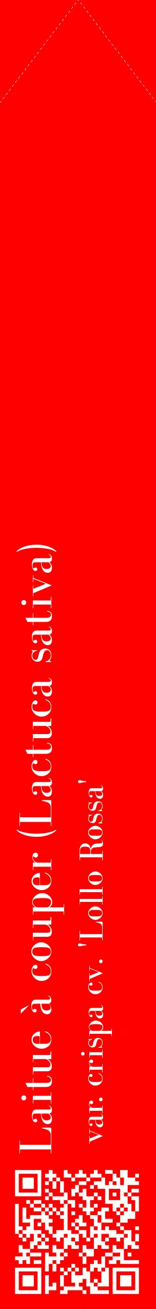 Étiquette de : Lactuca sativa var. crispa cv. 'Lollo Rossa' - format c - style blanche27_simplebod avec qrcode et comestibilité