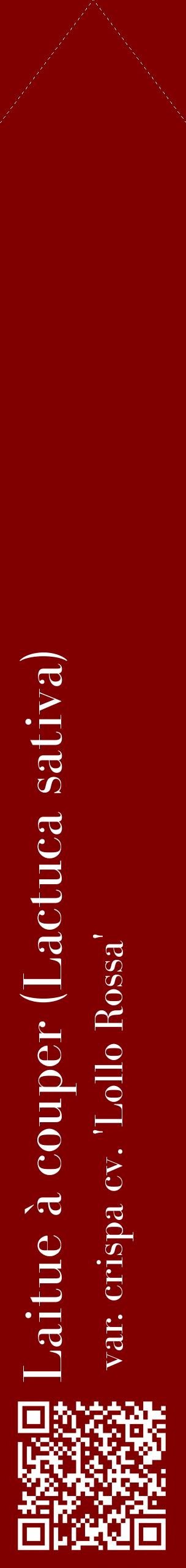 Étiquette de : Lactuca sativa var. crispa cv. 'Lollo Rossa' - format c - style blanche29_simplebod avec qrcode et comestibilité