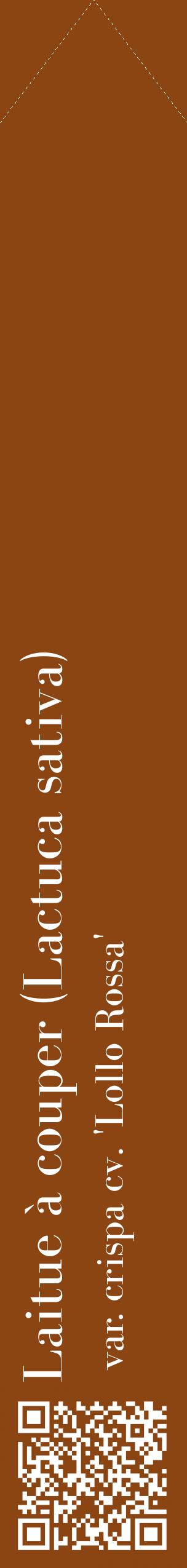 Étiquette de : Lactuca sativa var. crispa cv. 'Lollo Rossa' - format c - style blanche30_simplebod avec qrcode et comestibilité
