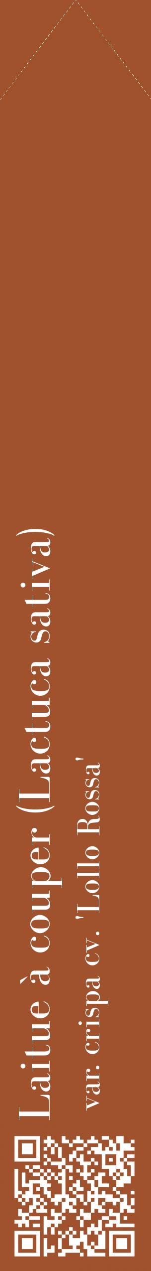 Étiquette de : Lactuca sativa var. crispa cv. 'Lollo Rossa' - format c - style blanche32_simplebod avec qrcode et comestibilité