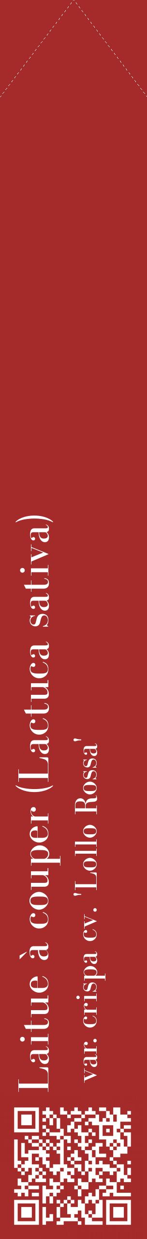 Étiquette de : Lactuca sativa var. crispa cv. 'Lollo Rossa' - format c - style blanche33_simplebod avec qrcode et comestibilité