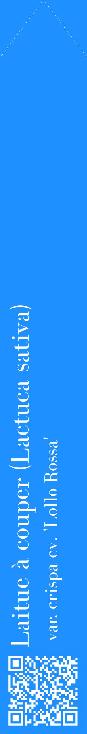 Étiquette de : Lactuca sativa var. crispa cv. 'Lollo Rossa' - format c - style blanche3_simplebod avec qrcode et comestibilité