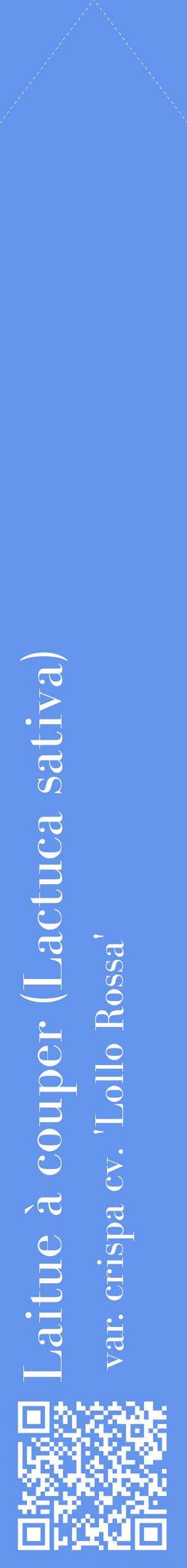 Étiquette de : Lactuca sativa var. crispa cv. 'Lollo Rossa' - format c - style blanche4_simplebod avec qrcode et comestibilité
