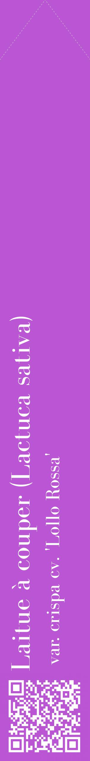 Étiquette de : Lactuca sativa var. crispa cv. 'Lollo Rossa' - format c - style blanche50_simplebod avec qrcode et comestibilité