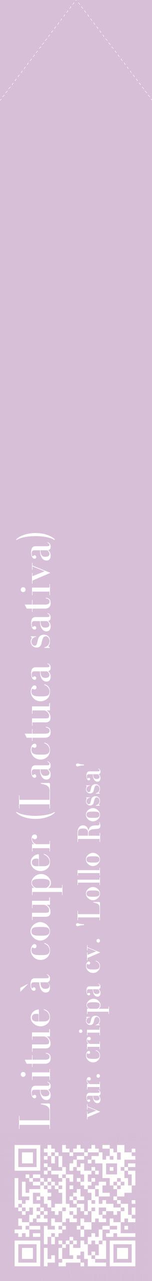 Étiquette de : Lactuca sativa var. crispa cv. 'Lollo Rossa' - format c - style blanche54_simplebod avec qrcode et comestibilité