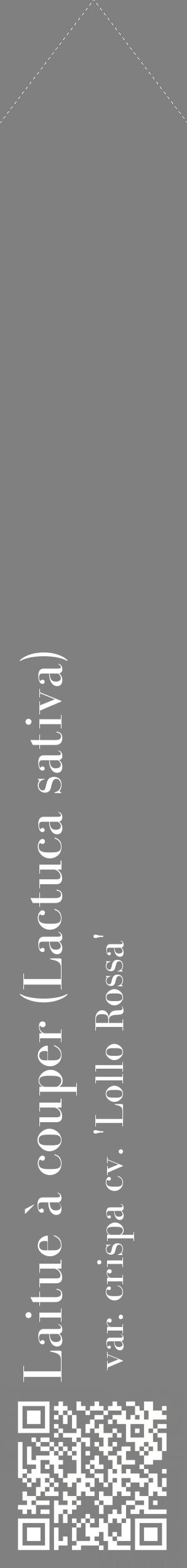 Étiquette de : Lactuca sativa var. crispa cv. 'Lollo Rossa' - format c - style blanche57_simplebod avec qrcode et comestibilité