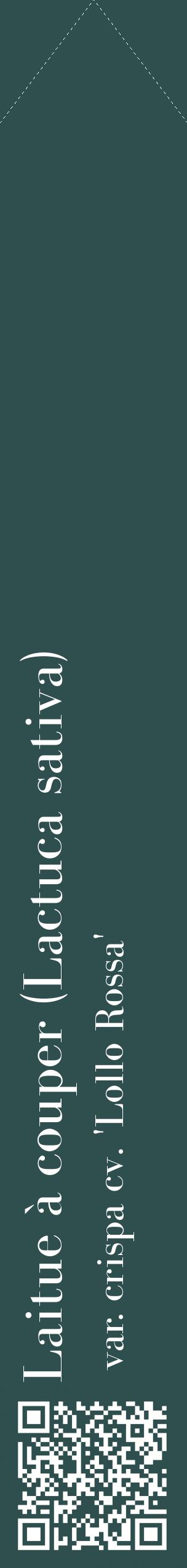 Étiquette de : Lactuca sativa var. crispa cv. 'Lollo Rossa' - format c - style blanche58_simplebod avec qrcode et comestibilité