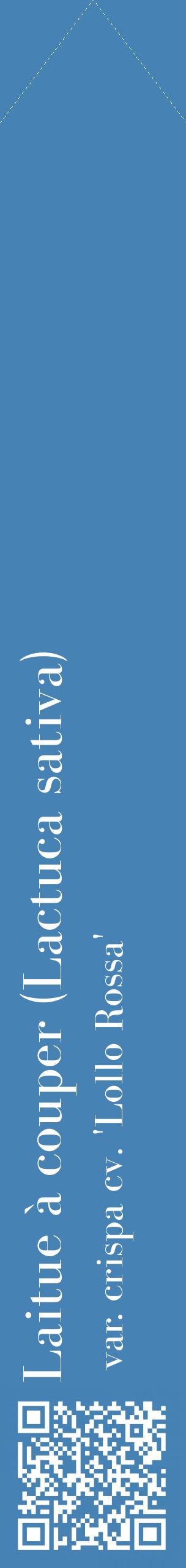 Étiquette de : Lactuca sativa var. crispa cv. 'Lollo Rossa' - format c - style blanche5_simplebod avec qrcode et comestibilité