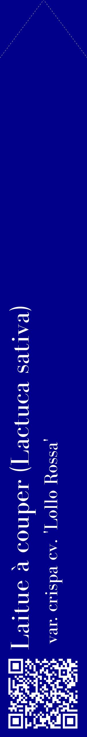 Étiquette de : Lactuca sativa var. crispa cv. 'Lollo Rossa' - format c - style blanche7_simplebod avec qrcode et comestibilité