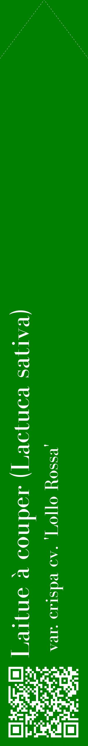 Étiquette de : Lactuca sativa var. crispa cv. 'Lollo Rossa' - format c - style blanche9_simplebod avec qrcode et comestibilité