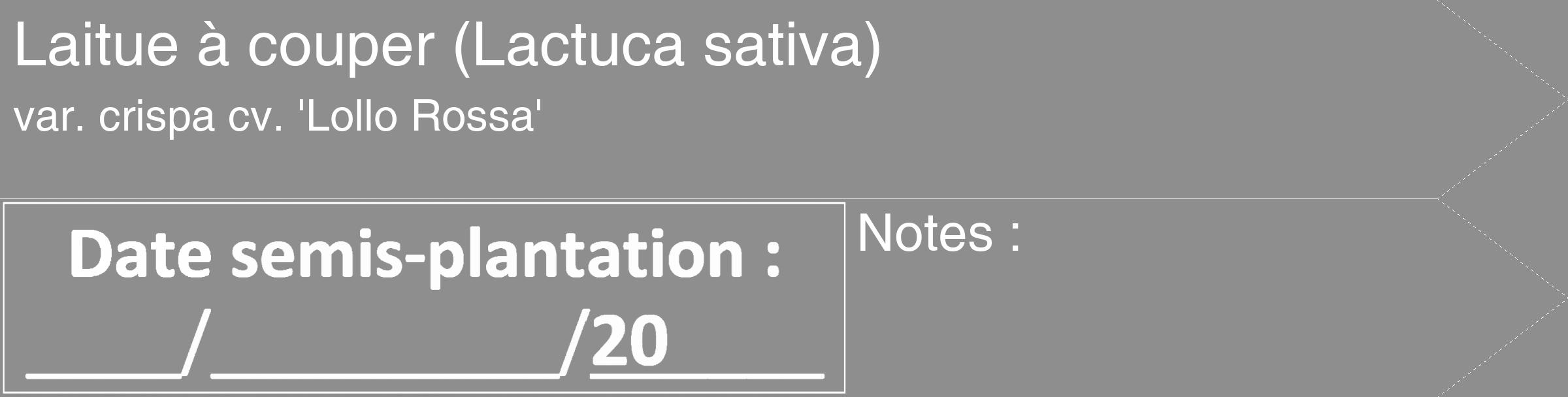 Étiquette de : Lactuca sativa var. crispa cv. 'Lollo Rossa' - format c - style blanche25_simple_simplehel avec comestibilité
