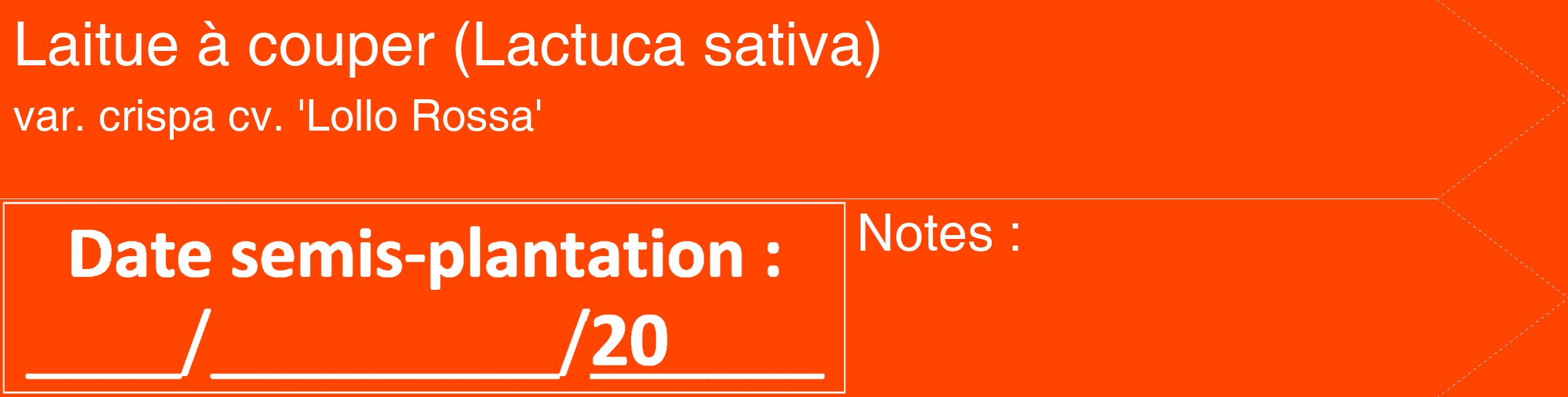 Étiquette de : Lactuca sativa var. crispa cv. 'Lollo Rossa' - format c - style blanche26_simple_simplehel avec comestibilité