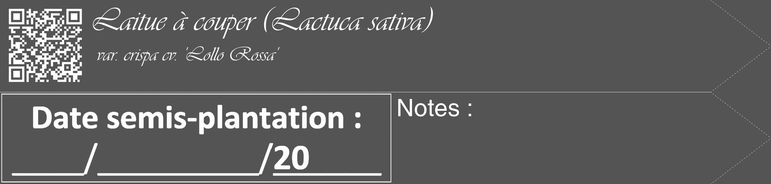 Étiquette de : Lactuca sativa var. crispa cv. 'Lollo Rossa' - format c - style blanche30_simple_simpleviv avec qrcode et comestibilité