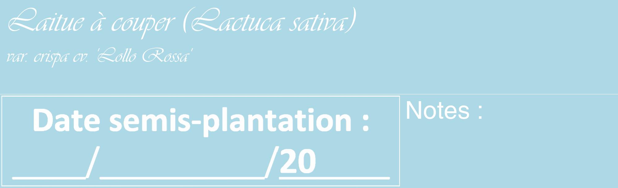 Étiquette de : Lactuca sativa var. crispa cv. 'Lollo Rossa' - format c - style blanche0_basique_basiqueviv avec comestibilité