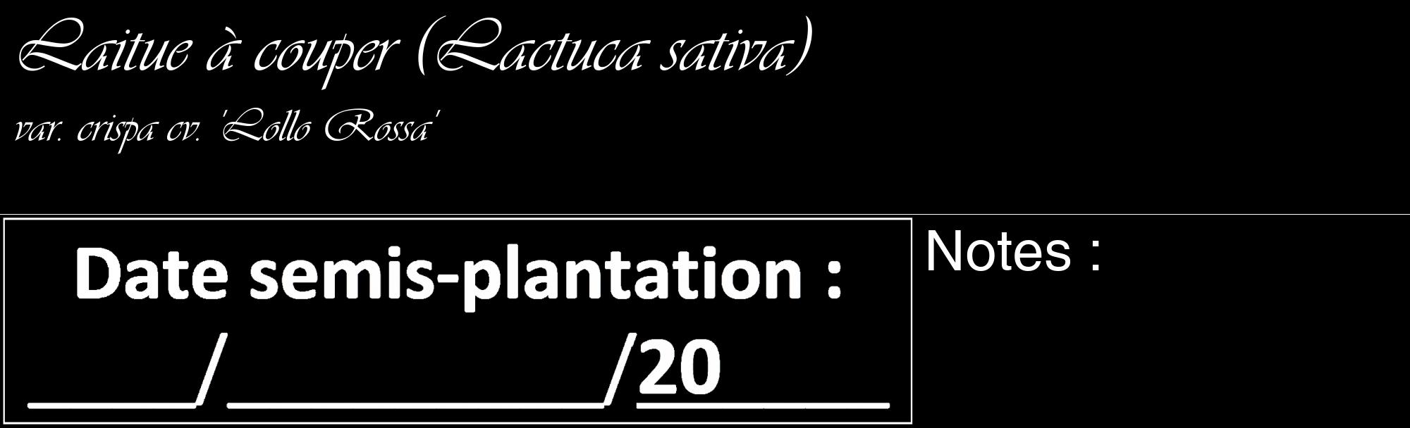 Étiquette de : Lactuca sativa var. crispa cv. 'Lollo Rossa' - format c - style blanche59_basique_basiqueviv avec comestibilité