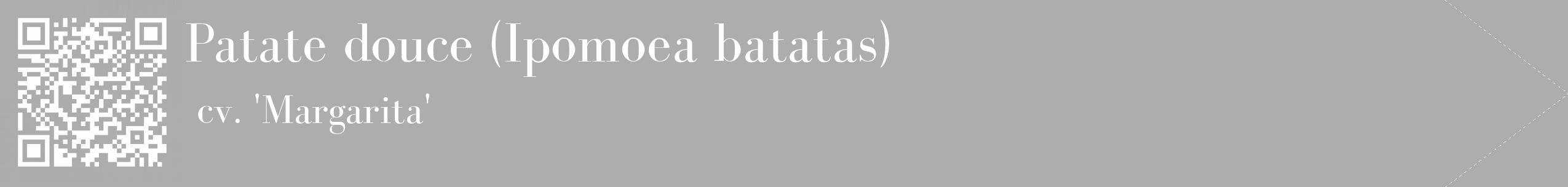 Étiquette de : Ipomoea batatas cv. 'Margarita' - format c - style blanche22_simple_simplebod avec qrcode et comestibilité
