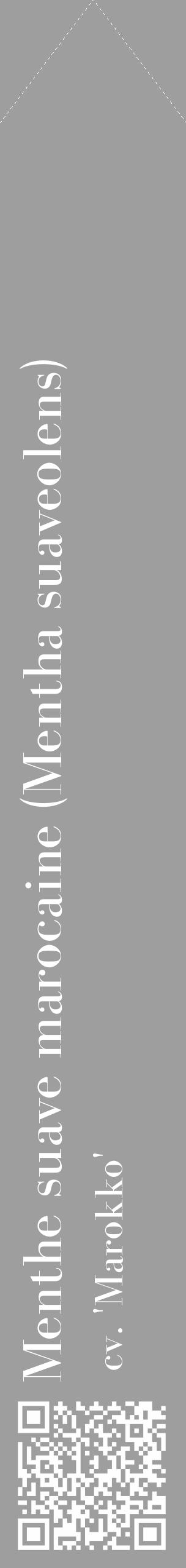 Étiquette de : Mentha suaveolens cv. 'Marokko' - format c - style blanche42_simple_simplebod avec qrcode et comestibilité - position verticale
