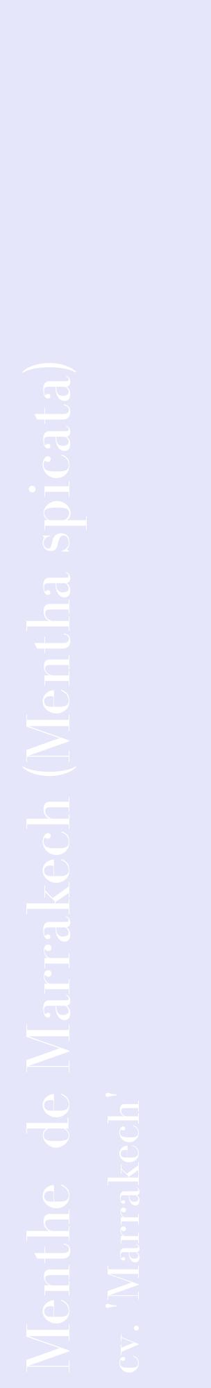 Étiquette de : Mentha spicata cv. 'Marrakech' - format c - style blanche55_basiquebod avec comestibilité
