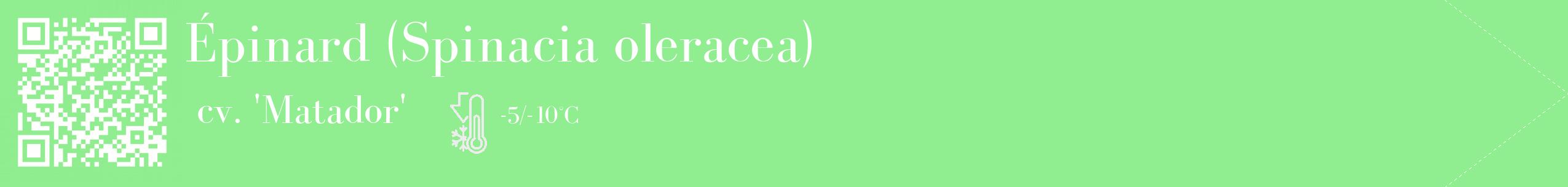 Étiquette de : Spinacia oleracea cv. 'Matador' - format c - style blanche15_simple_simplebod avec qrcode et comestibilité
