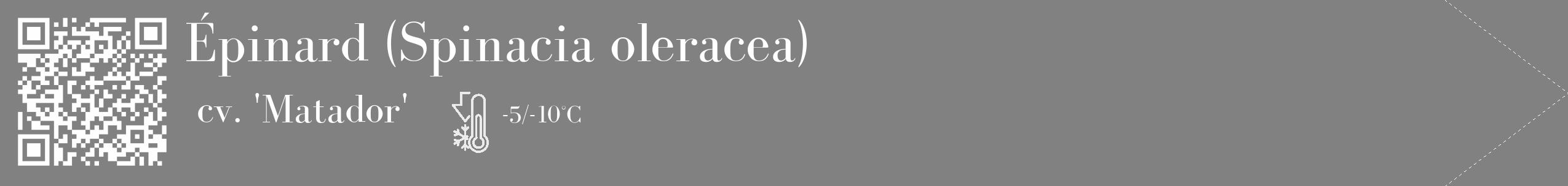 Étiquette de : Spinacia oleracea cv. 'Matador' - format c - style blanche50_simple_simplebod avec qrcode et comestibilité