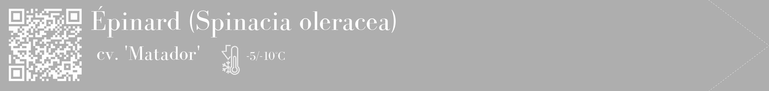 Étiquette de : Spinacia oleracea cv. 'Matador' - format c - style blanche53_simple_simplebod avec qrcode et comestibilité