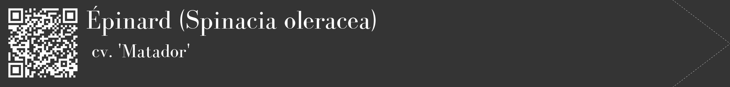 Étiquette de : Spinacia oleracea cv. 'Matador' - format c - style blanche46_simple_simplebod avec qrcode et comestibilité