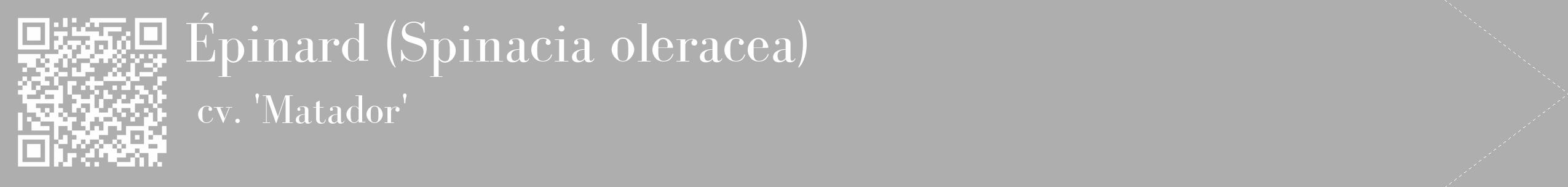 Étiquette de : Spinacia oleracea cv. 'Matador' - format c - style blanche53_simple_simplebod avec qrcode et comestibilité