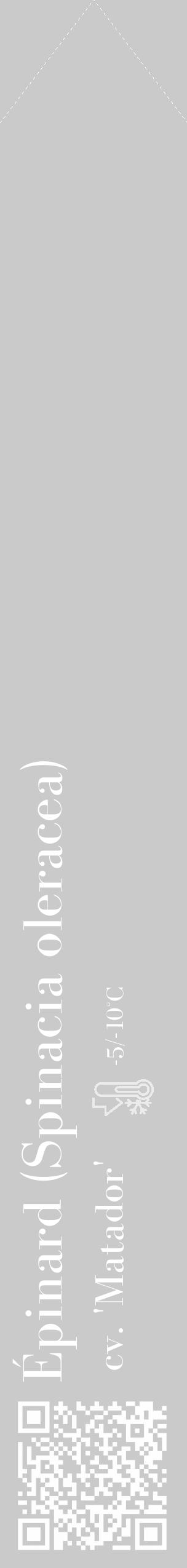 Étiquette de : Spinacia oleracea cv. 'Matador' - format c - style blanche21_simple_simplebod avec qrcode et comestibilité - position verticale