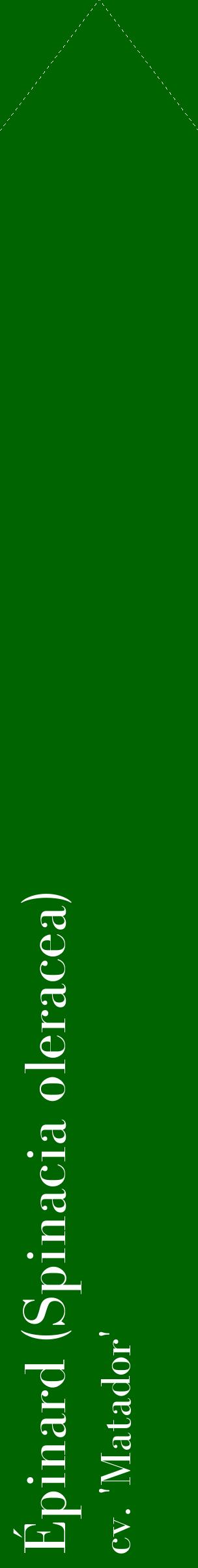 Étiquette de : Spinacia oleracea cv. 'Matador' - format c - style blanche8_simplebod avec comestibilité