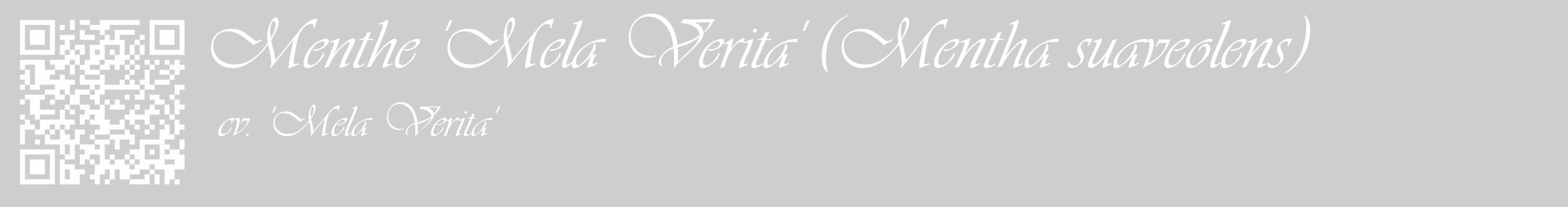 Étiquette de : Mentha suaveolens cv. 'Mela Verita' - format c - style blanche17_basique_basiqueviv avec qrcode et comestibilité