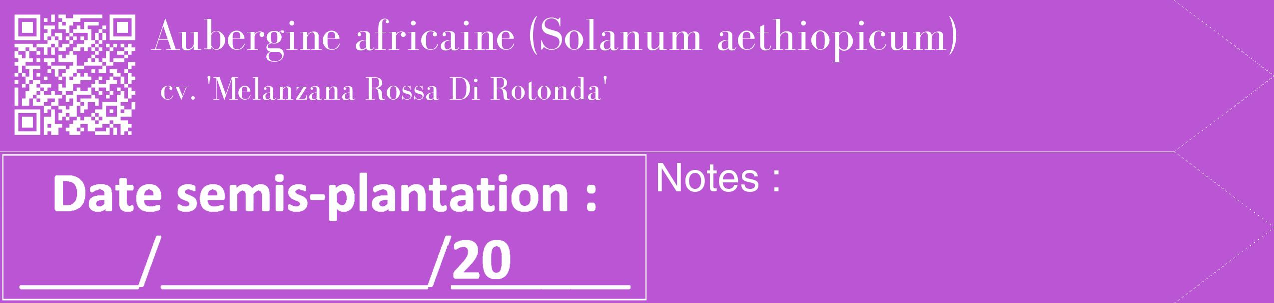 Étiquette de : Solanum aethiopicum cv. 'Melanzana Rossa Di Rotonda' - format c - style blanche50_simple_simplebod avec qrcode et comestibilité