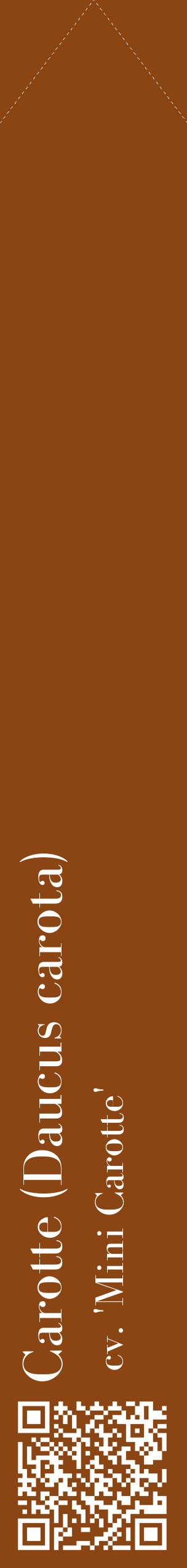 Étiquette de : Daucus carota cv. 'Mini Carotte' - format c - style blanche30_simplebod avec qrcode et comestibilité