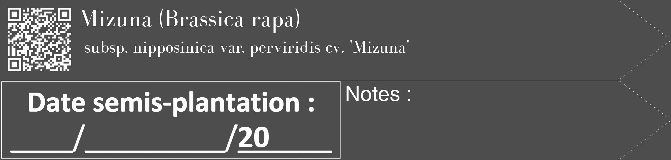 Étiquette de : Brassica rapa subsp. nipposinica var. perviridis cv. 'Mizuna' - format c - style blanche28_simple_simplebod avec qrcode et comestibilité