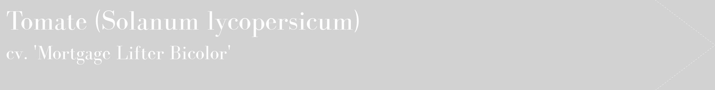 Étiquette de : Solanum lycopersicum cv. 'Mortgage Lifter Bicolor' - format c - style blanche14_simple_simplebod avec comestibilité