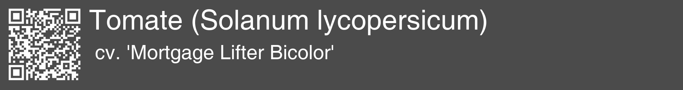 Étiquette de : Solanum lycopersicum cv. 'Mortgage Lifter Bicolor' - format c - style blanche9_basique_basiquehel avec qrcode et comestibilité