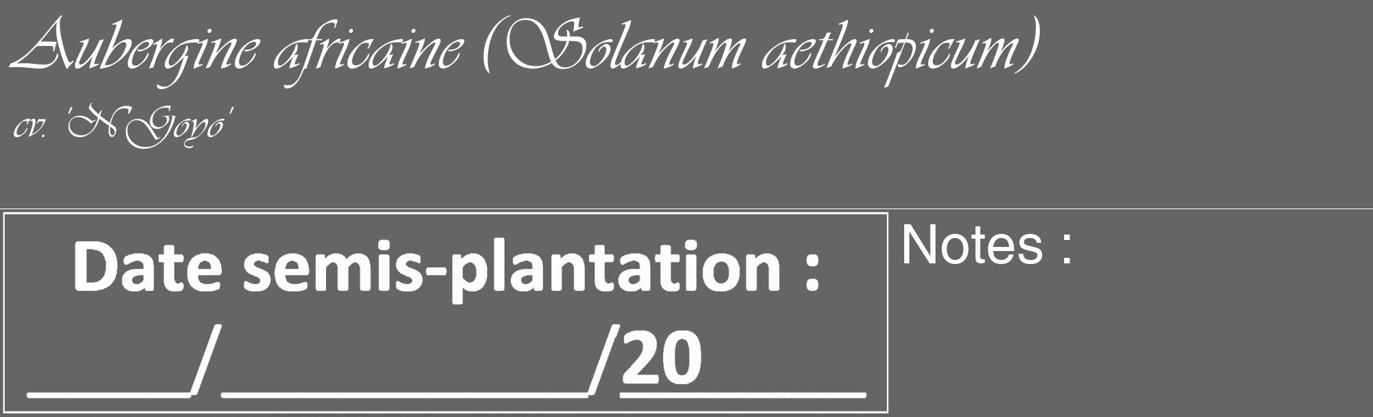Étiquette de : Solanum aethiopicum cv. 'N'Goyo' - format c - style blanche32_basique_basiqueviv avec comestibilité