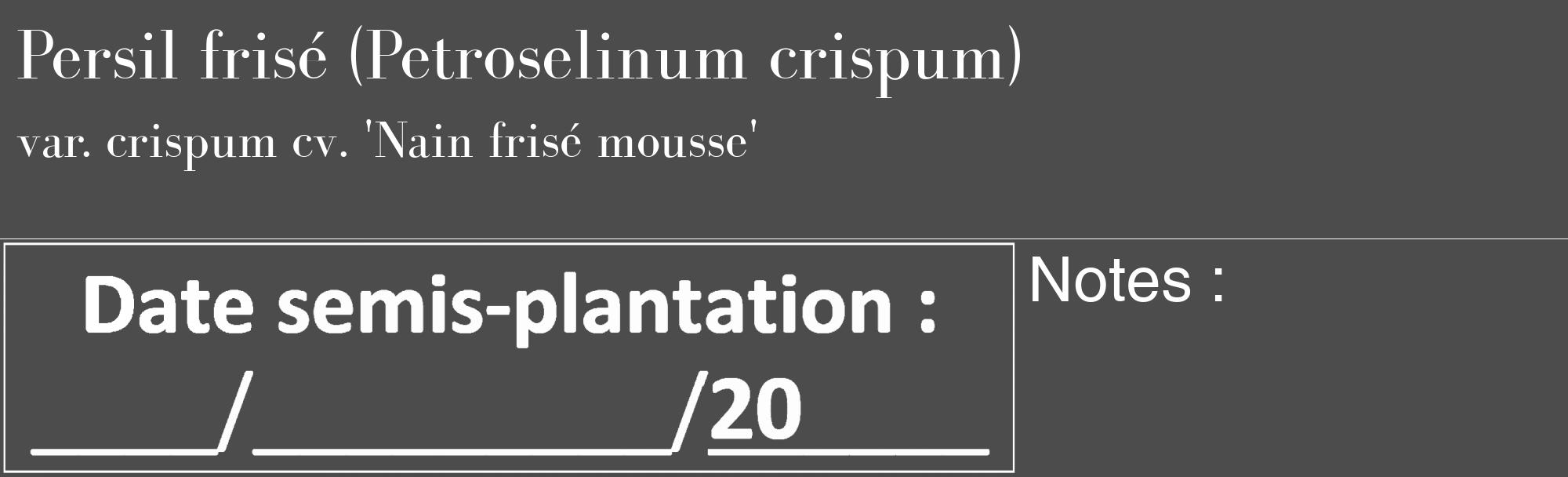 Étiquette de : Petroselinum crispum var. crispum cv. 'Nain frisé mousse' - format c - style blanche27_basique_basiquebod avec comestibilité