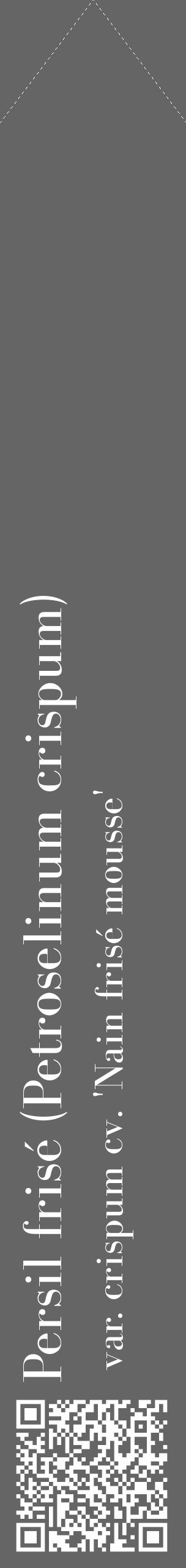 Étiquette de : Petroselinum crispum var. crispum cv. 'Nain frisé mousse' - format c - style blanche32_simple_simplebod avec qrcode et comestibilité - position verticale