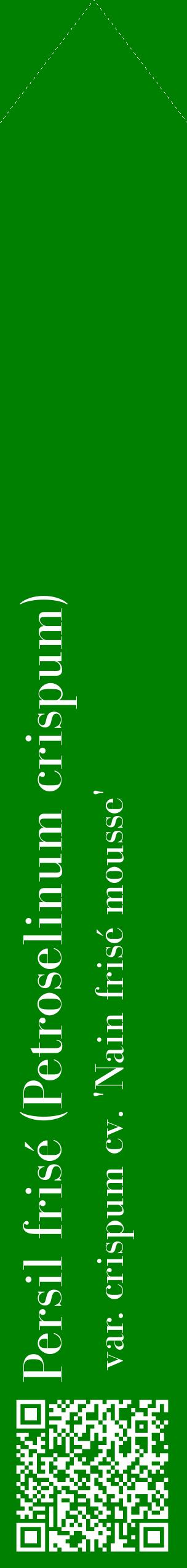 Étiquette de : Petroselinum crispum var. crispum cv. 'Nain frisé mousse' - format c - style blanche9_simplebod avec qrcode et comestibilité