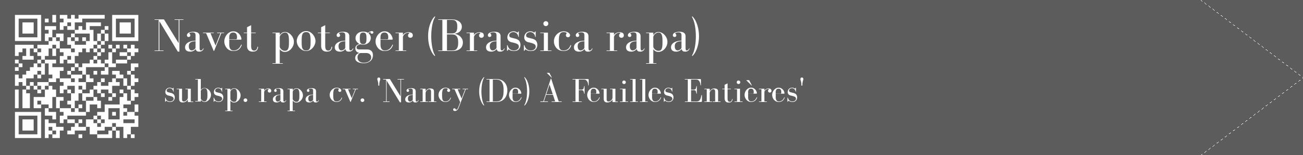 Étiquette de : Brassica rapa subsp. rapa cv. 'Nancy (De) À Feuilles Entières' - format c - style blanche49_simple_simplebod avec qrcode et comestibilité