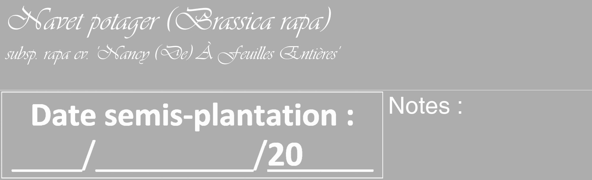 Étiquette de : Brassica rapa subsp. rapa cv. 'Nancy (De) À Feuilles Entières' - format c - style blanche22_basique_basiqueviv avec comestibilité
