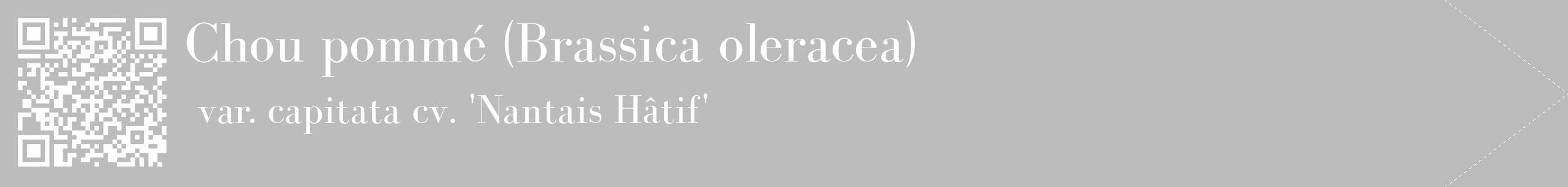 Étiquette de : Brassica oleracea var. capitata cv. 'Nantais Hâtif' - format c - style blanche1_simple_simplebod avec qrcode et comestibilité