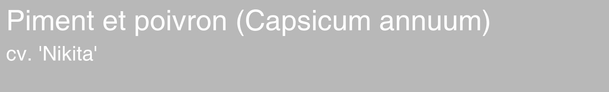 Étiquette de : Capsicum annuum cv. 'Nikita' - format c - style blanche39_basique_basiquehel avec comestibilité