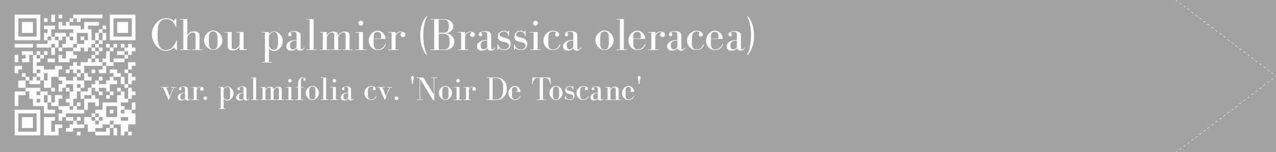 Étiquette de : Brassica oleracea var. palmifolia cv. 'Noir De Toscane' - format c - style blanche38_simple_simplebod avec qrcode et comestibilité