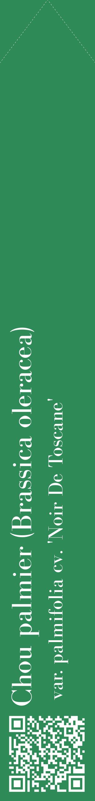 Étiquette de : Brassica oleracea var. palmifolia cv. 'Noir De Toscane' - format c - style blanche11_simplebod avec qrcode et comestibilité