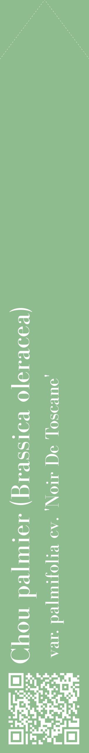 Étiquette de : Brassica oleracea var. palmifolia cv. 'Noir De Toscane' - format c - style blanche13_simplebod avec qrcode et comestibilité
