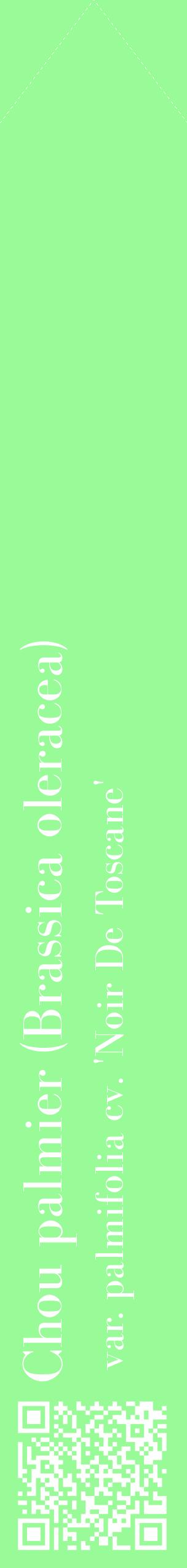 Étiquette de : Brassica oleracea var. palmifolia cv. 'Noir De Toscane' - format c - style blanche14_simplebod avec qrcode et comestibilité