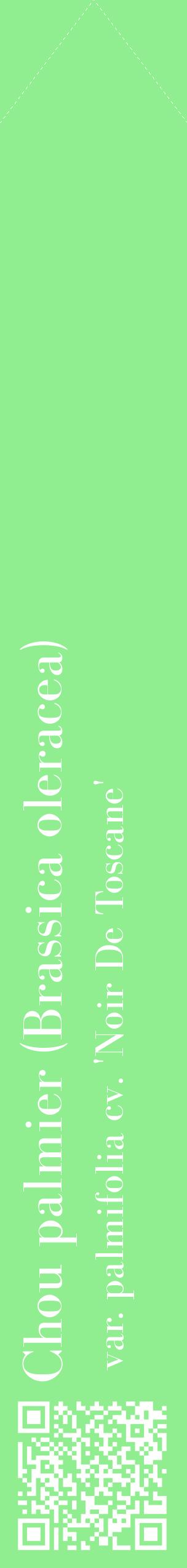 Étiquette de : Brassica oleracea var. palmifolia cv. 'Noir De Toscane' - format c - style blanche15_simplebod avec qrcode et comestibilité